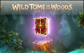 Wild Tome of the Woods